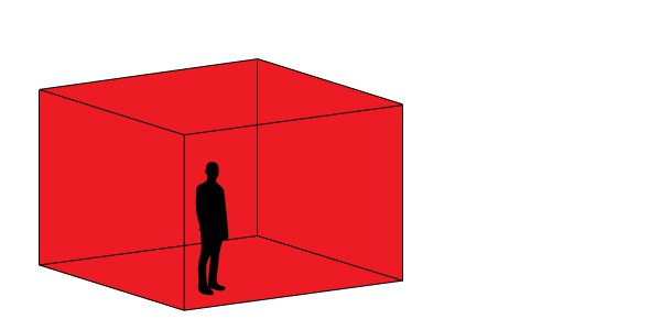 Medium Storage Container